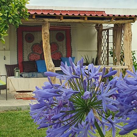 Cela Velha Casinha D'Alice Et Serge المظهر الخارجي الصورة