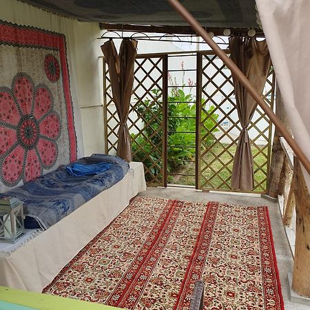 Cela Velha Casinha D'Alice Et Serge المظهر الخارجي الصورة
